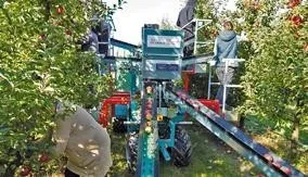 Kombajny do zbioru jabłek i gruszek